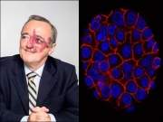 لبلبے کے کینسر کا علاج دریافت کرلیا گیا، سائنسدانوں کا نئی تحقیق میں دعویٰ