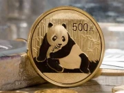 پانڈا بانڈز کے اجرا کیلیے اے ڈی بی اور اے آئی آئی بی کی ضمانتوں پر انحصار