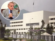 پارلیمنٹرینزم کا عالمی دن؛وزیراعظم کا جمہوریت، خواتین کی قیادت اور جدید قانون سازی پر زور