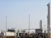 پی ای ایل کو آئل اینڈ گیس کمپنیوں میں مزید حصص حاصل کرنے کی اجازت مل گئی