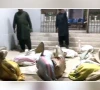 وائلڈ لائف سندھ کی رات گئے کارروائی، ٹرک سے 16 نایاب پیلکن پرندے برآمد