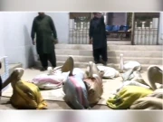 وائلڈ لائف سندھ کی رات گئے کارروائی، ٹرک سے 16 نایاب پیلکن پرندے برآمد