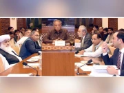 لوگ اس لیے منتخب نہیں کرتے کہ استعفے دیکر گھر چلے جائیں، قائمہ کمیٹی اجلاس میں پی ٹی آئی ارکان پر تنقید