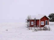 فرانس؛ مالک مکان کا مفت میں رہنے والے کرایہ داروں کو بے دخل کرنے کا انوکھا طریقہ