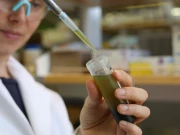 زہریلے ’فار ایور کیمیکلز‘ سے نمٹنے کا طریقہ کار دریافت