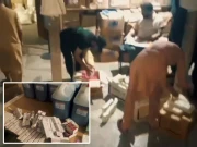 ایف آئی اے کی بڑی کارروائی؛ غیر قانونی فارماسیوٹیکل فیکٹری سیل، جعلی ادویہ برآمد