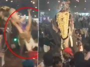 بھارت: سالانہ تہوار میں بدمست ہاتھی نے ایک شخص کو سونڈھ میں اٹھا کر پھینک دیا