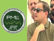 میئر کراچی تھیٹر میں کام کریں تو زیادہ کامیابی مل سکتی ہے، مسلم لیگ ن