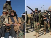 افغان طالبان کی بلا اشتعال جارحیت کے خلاف پوری قوم متحد