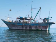 بلوچستان کی سمندری حدود سے غیر قانونی ماہی گیری میں ملوث 6 فشنگ ٹرالرز ضبط