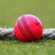 پنک بال ٹیسٹ ایشز سیریز میں ممنوع قرار