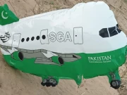 بھارت میں لینڈ کرنیوالے پاکستانی’’ جہاز ‘‘ نے کھلبلی مچادی