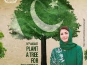 پنجاب میں چیف منسٹر پلانٹ فار پاکستان مہم کے تحت وسیع پیمانے پر شجرکاری کا آغاز