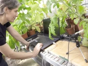 پیاسے پودے آوازیں نکالتے، کیڑے، جانور سن سکتے، انوکھی تحقیق