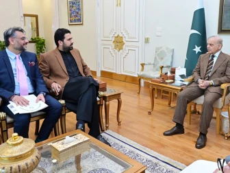 امن کیلیے صوبائی حکومت کو کوششیں مزید بڑھانا ہوں گی، وزیراعظم، وزیر اعلیٰ کے پی سے ملاقات