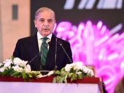 وزیر اعظم کا یونان کشتی حادثے میں پاکستانیوں کے جاں بحق ہونے پر اظہار افسوس، انکوائری رپورٹ طلب