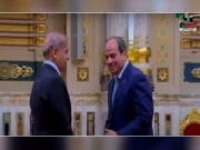 وزیراعظم کی مصر کے شاہی محل میں آمد، عبدالفتاح السیسی نے استقبال کیا