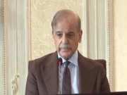 وزیراعظم کی دانش اتھارٹی کے قیام کے حوالے سے تجاویز پیش کرنے کی ہدایت 