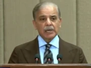 اسلامی نظریاتی کونسل جھوٹے پروپیگنڈہ کی یلغار سے تحفظ میں کردار ادا کرے، وزیراعظم