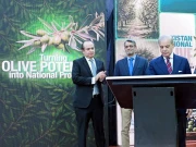 زیتون کے کاشتکاروں کو سپورٹ کر کے سالانہ 400 ملین ڈالر کی بچت کرسکتے ہیں، وزیر اعظم