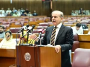   ترقی کا واحد راستہ، محنت اور معاشی استحکام 