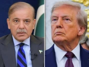 اقوام متحدہ اجلاس میں ٹرمپ کی وزیراعظم شہباز شریف سے ملاقات ہوگی، وائٹ ہاؤس کی تصدیق