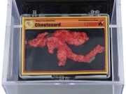 پوکیمون کردار سے متاثر چیٹو کا ڈیزائن ہزاروں ڈالرز میں نیلام