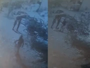 کراچی، قانون کے رکھوالے بکرا چور نکلے، 7 پولیس اہلکار معطل