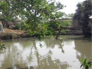 ماں نے بچوں کو بچانے کیلیے تالاب میں چھلانگ لگادی، تینوں جاں بحق