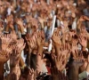 پاکستان میں غربت شرح بڑھ کر 28.9 فیصد تک پہنچ گئی، اقتصادی سروے