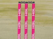 پی ایس ایل: آج بریسٹ کینسر کی آگاہی کیلیے پنک ڈے منایا جائے گا