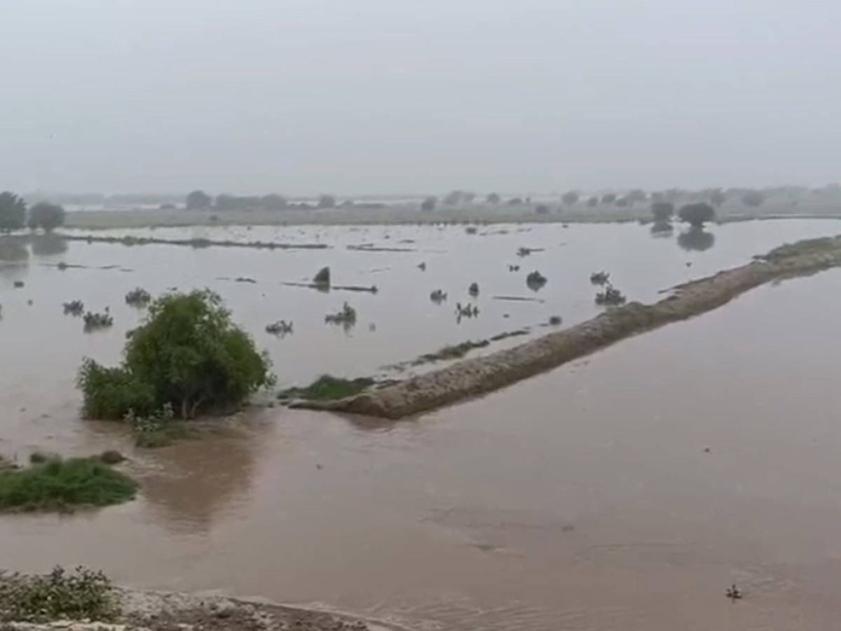 دریائے راوی کا سیلابی ریلا کنڈ سرگانہ، قتالپور اور بربیگی میں داخل، خودساختہ بند ٹوٹ گیا