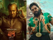 اسپین میں پاکستانیوں کی مہمان نوازی پر پشپا اسٹار کا محبت بھرا پیغام