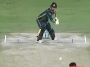 پی ایس ایل 10: لاہور قلندرز نے زلمی کو شکست دے کر پلے آف کیلیے کوالیفائی کرلیا