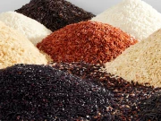 چاول کی مختلف اقسام اور ان کی غذائیت