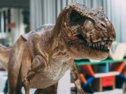 روبوٹکس کے ذریعے معدوم شدہ جانوروں کے ارتقا کو سمجھنے کی کوشش کامیاب