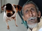 کراچی میں ریبیز کا ایک اور کیس سامنے آگیا 