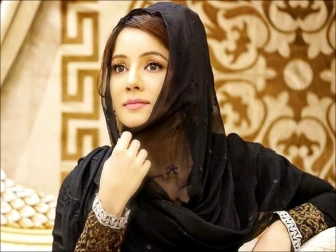 رابی پیرزادہ کے ساتھ ہراسانی کا واقعہ، ملزم گرفتار