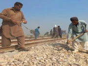 بجلی پلانٹس کو ملکی کوئلے کی سپلائی کیلیے ریلوے ٹریک بنے گا، سندھ حکومت