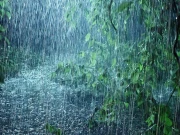 پنجاب کے بیشتر اضلاع میں آئندہ 24 گھنٹوں میں شدید طوفانی بارشوں کی پیشگوئی