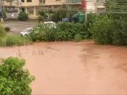 بارش کے بعد اسلام آباد کے ندی، نالوں میں طغیانی، رہائشی علاقوں میں سیلابی کیفیت، وزیرِ اعظم کا نوٹس