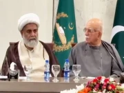 فوٹو: اسکرین گریب
