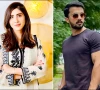 رجب بٹ کی نامناسب ویڈیو پر رکن پنجاب اسمبلی حنا پرویز کی شدید تنقید، بے شرم کہہ دیا