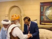 رانا ثنا اللہ کی مولانا فضل الرحمان سے اہم ملاقات