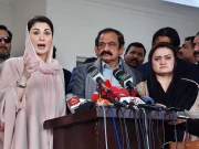 وزیراعلیٰ کو پنجاب کے خلاف کسی بھی بات کا جواب دینے کا حق ہے، رانا ثنا اللہ