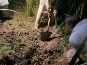 راولپنڈی: شوہر نے دو بیٹوں سے مل کر اہلیہ کو قتل کرکے لاش دفنادی، ملزمان گرفتار