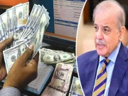 حکومت کا ترسیلات زر پر سبسڈی دوبارہ بحال کرنے کا فیصلہ