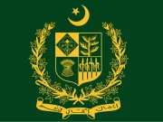 رائٹ سائزنگ، نیپرا، اوگرا و دیگر ریگولیٹریز سے مشیروں، اسٹاف کی تعدد، تنخواہوں کی تفصیلات طلب