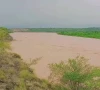 فوٹو: فائل