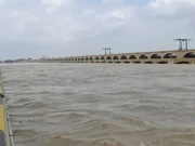 ڈیمز نہ بننے سے کھربوں روپے مالیت کا پانی سمندر برد ہوگیا